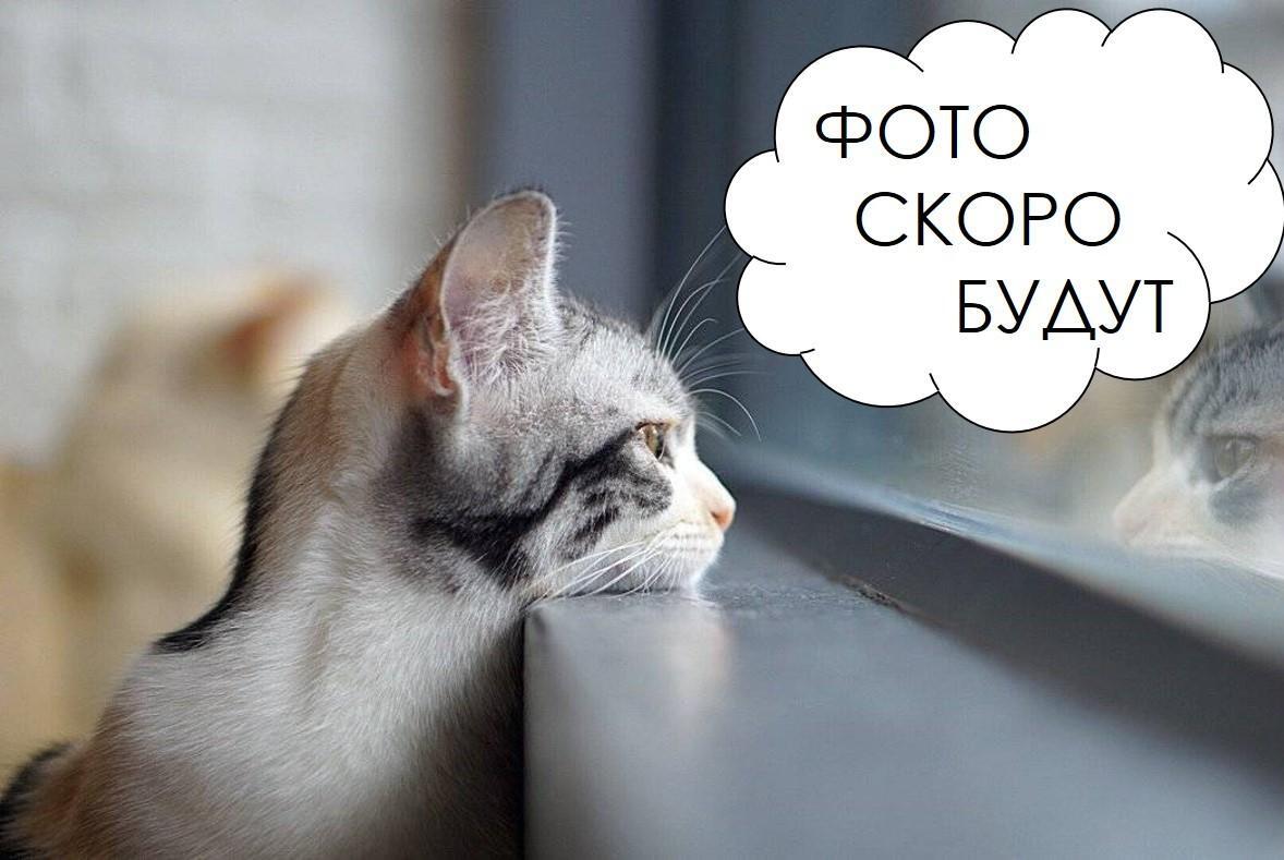 Дом па адрасу д. Гливин, Лесная ул.