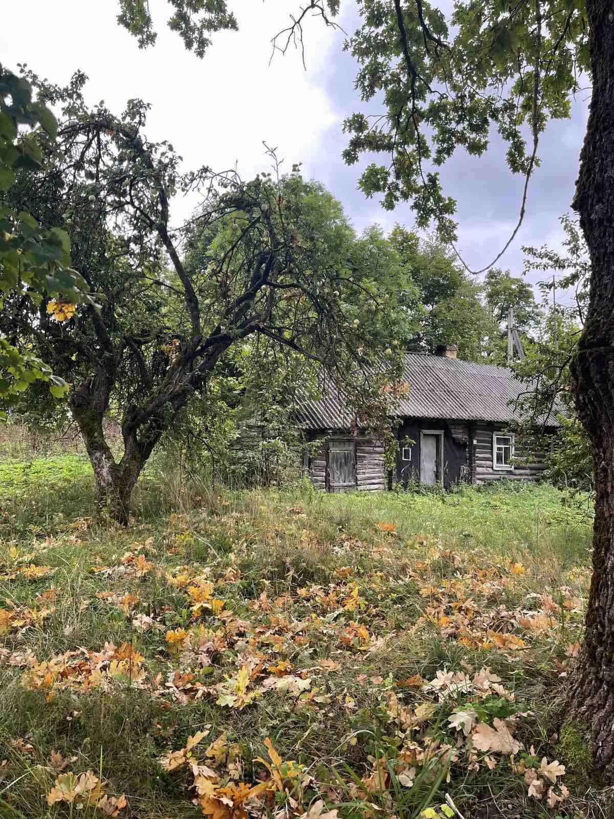 Дом по адресу д. Замошье, Партизанская ул.