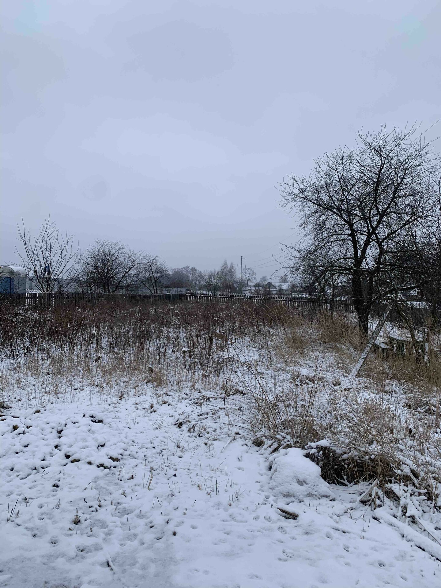Участок по адресу д. Николаевка 3, Николаевский Сад ул.