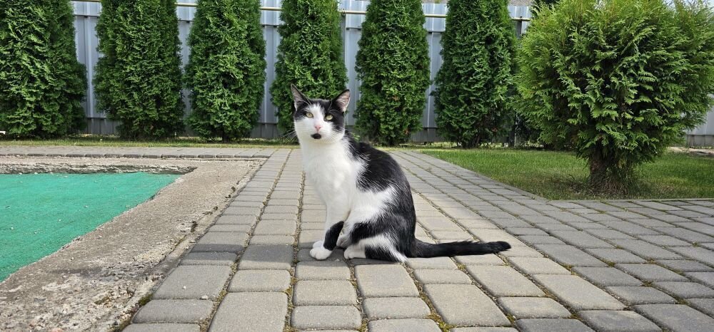 Дом по адресу Дом Ратомка, Зелёная улица, 2В