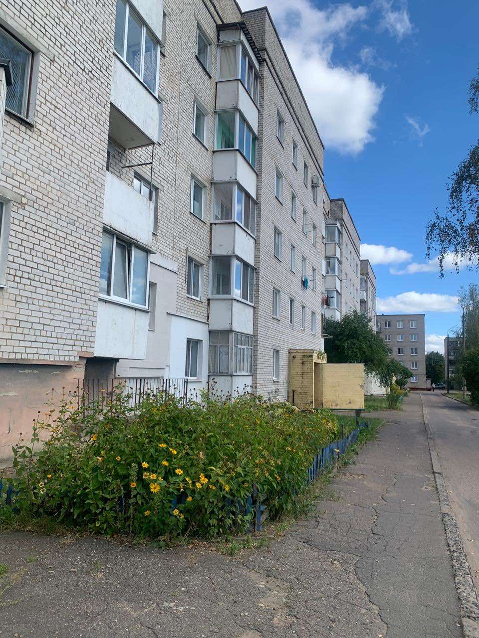 1-пакаёвая кватэра па адрасе ул. Максима Горького, 87 Борисов, Минская область