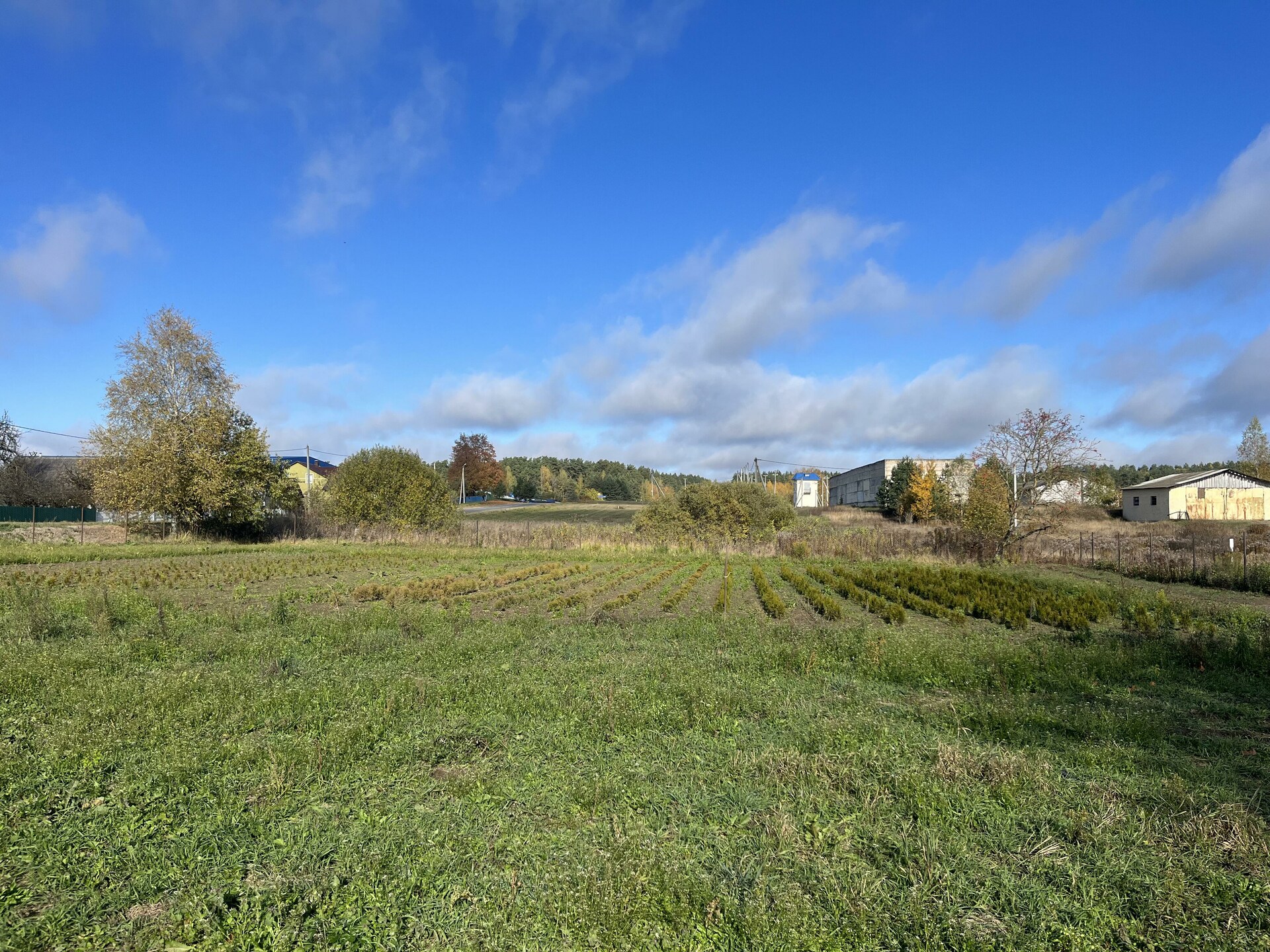 Дом по адресу д. Пекалин, Ленина ул., д. 1