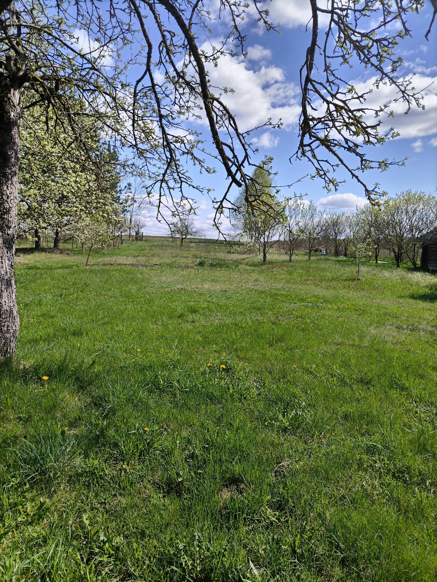 Участок по адресу аг. Юрьево, Смолевичский район, Минская область ул.Озерная