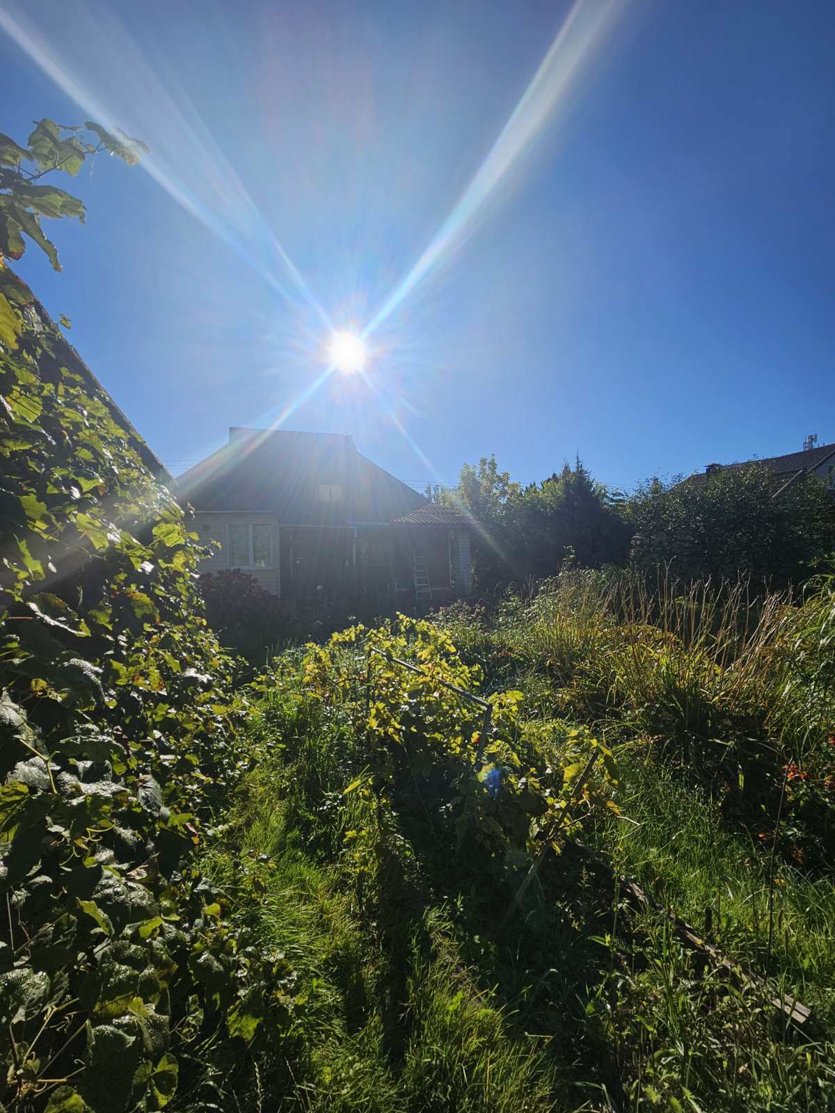 Дом по адресу Продажа дома на Клинах