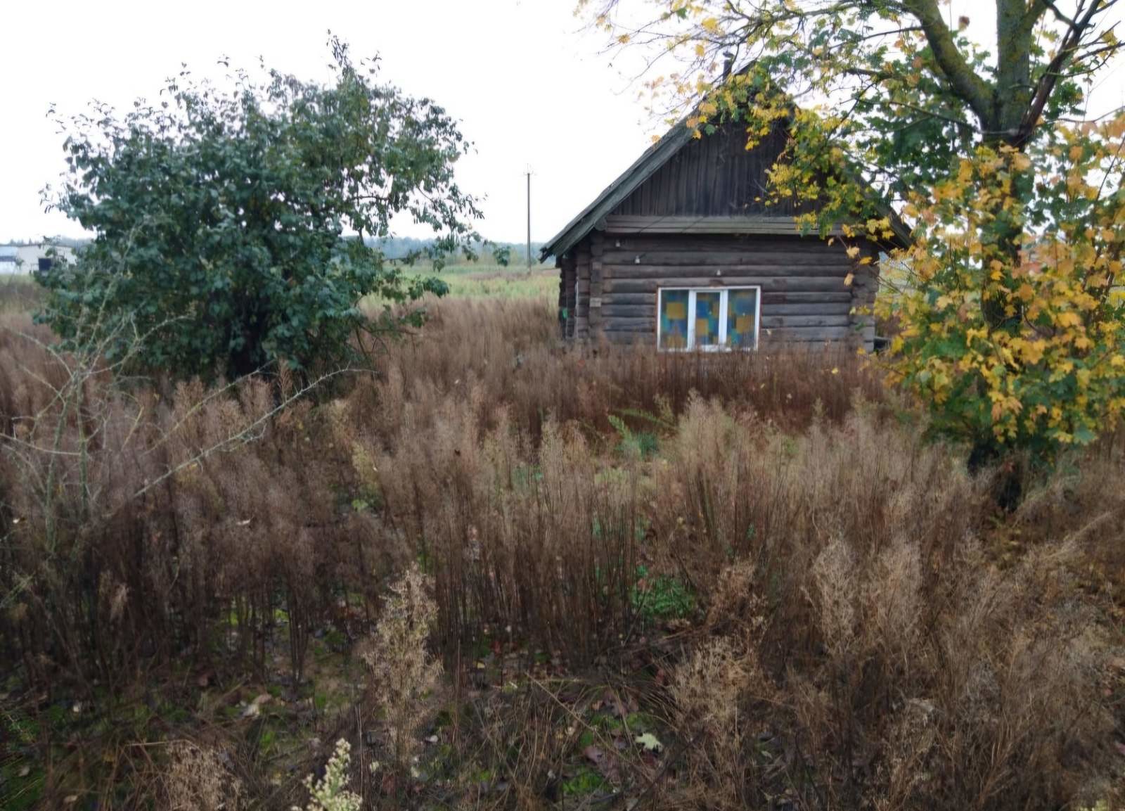 Дом по адресу Продажа дома Волосово