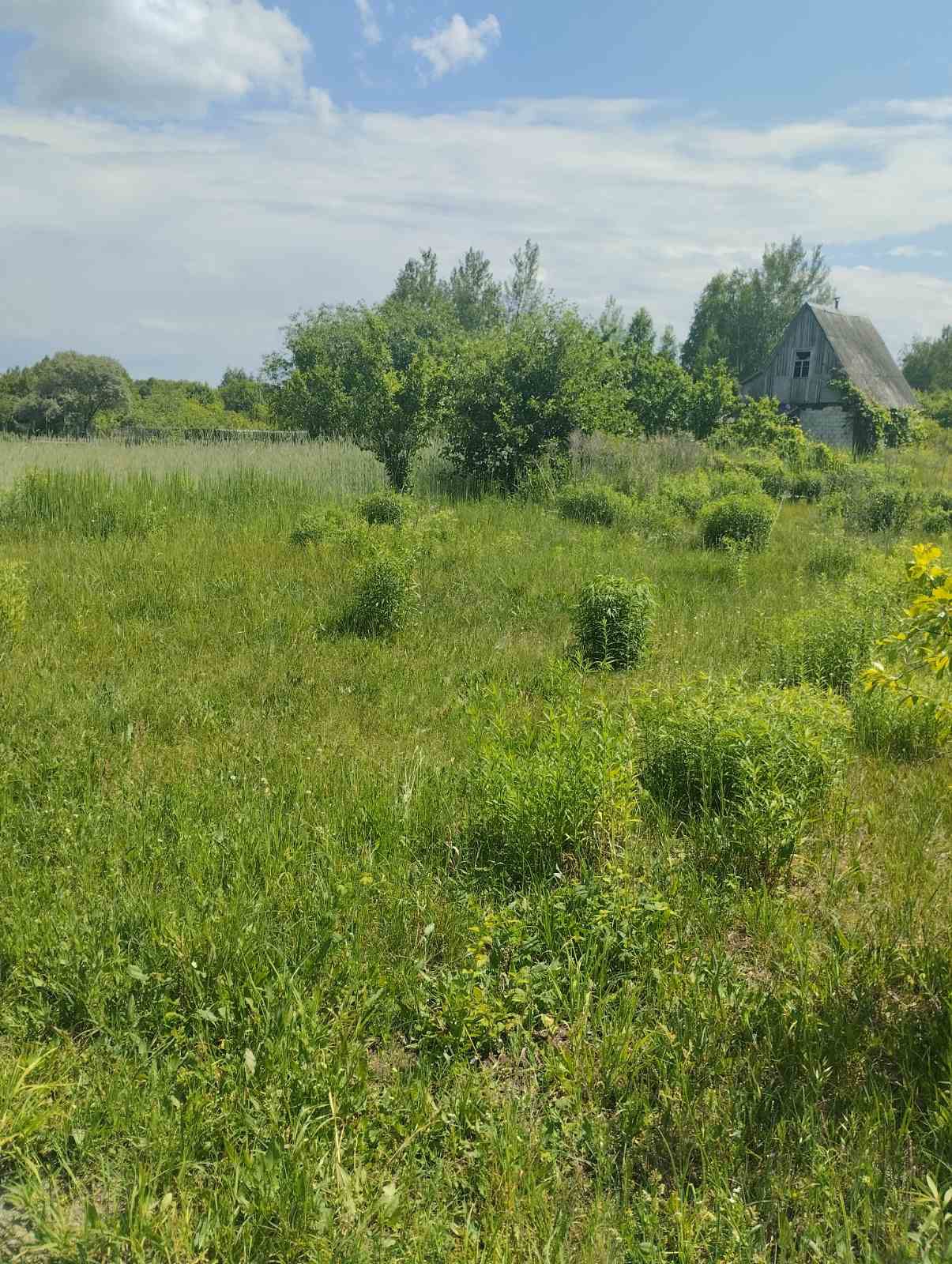 Участок по адресу Продажа 2х участков по 5 сот СТ Уть Прибытковский с/с