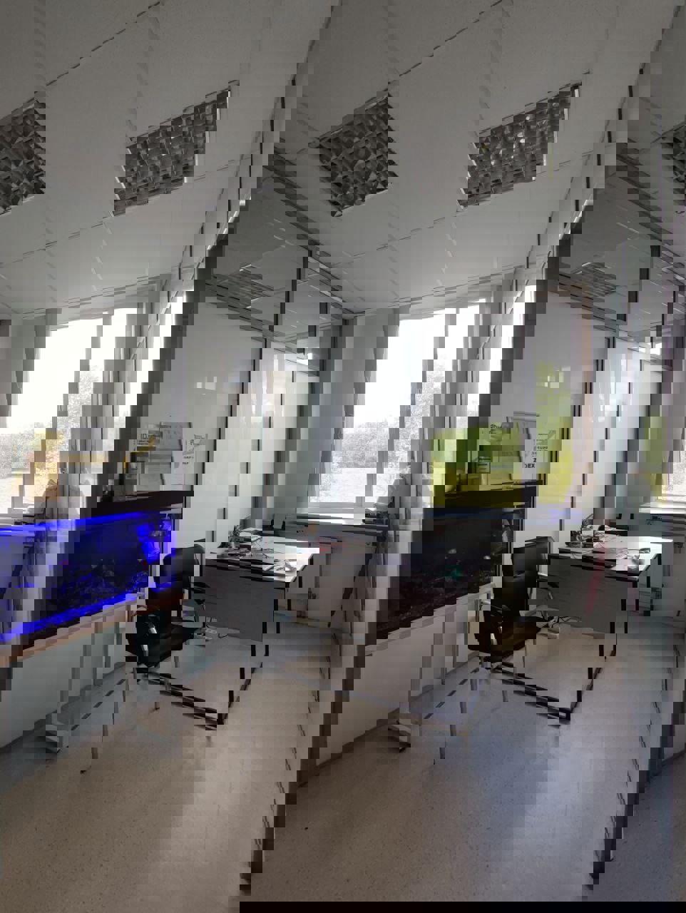 Офис по адресу Аренда офиса 53.2 м2 в БЦ на Одоевского 131