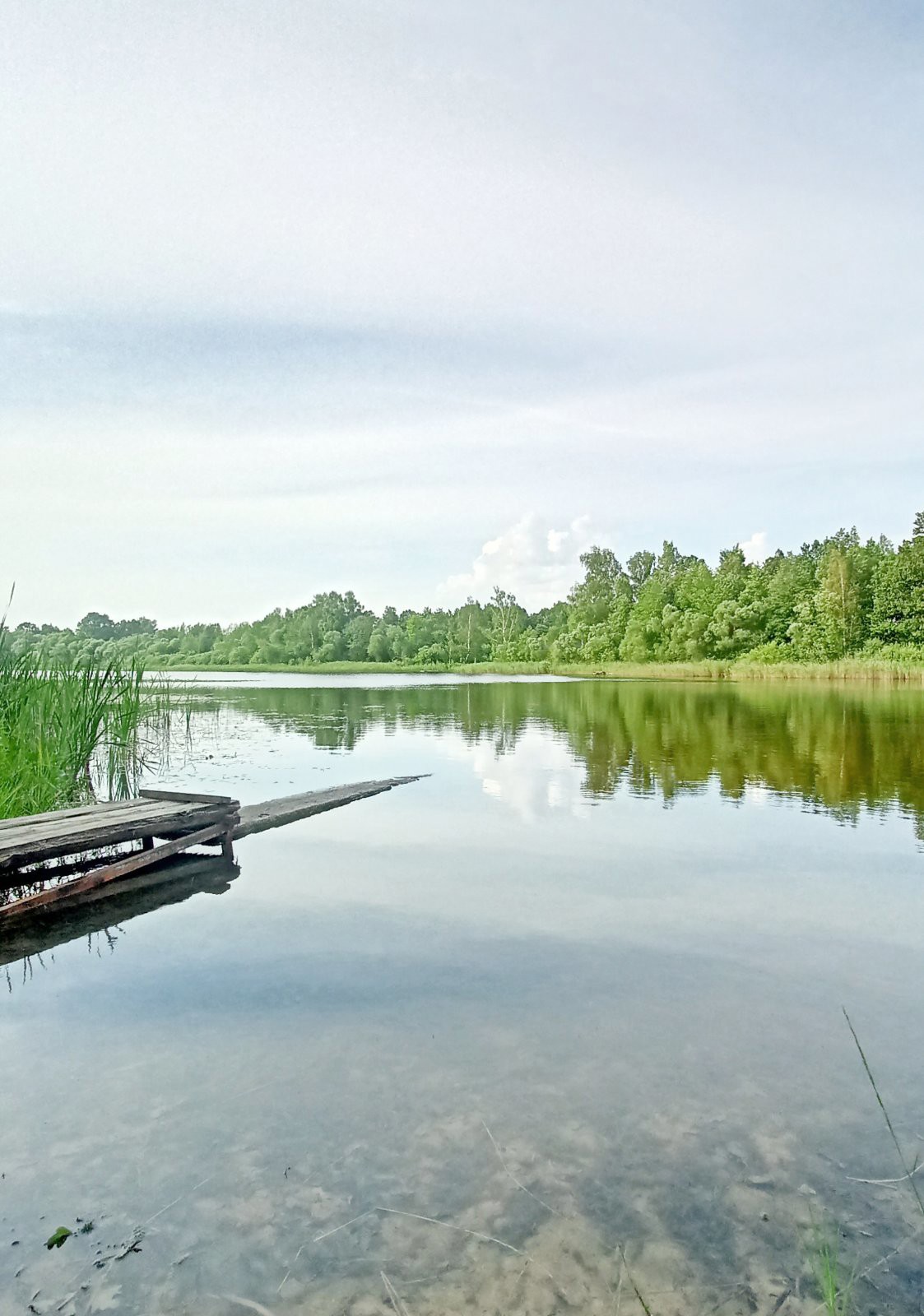 Дом по адресу Продажа дома Горовые