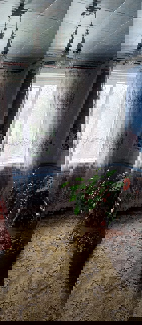 3-комнатная квартира по адресу Половина дома( 3 кв.) в аг. Путчино,...