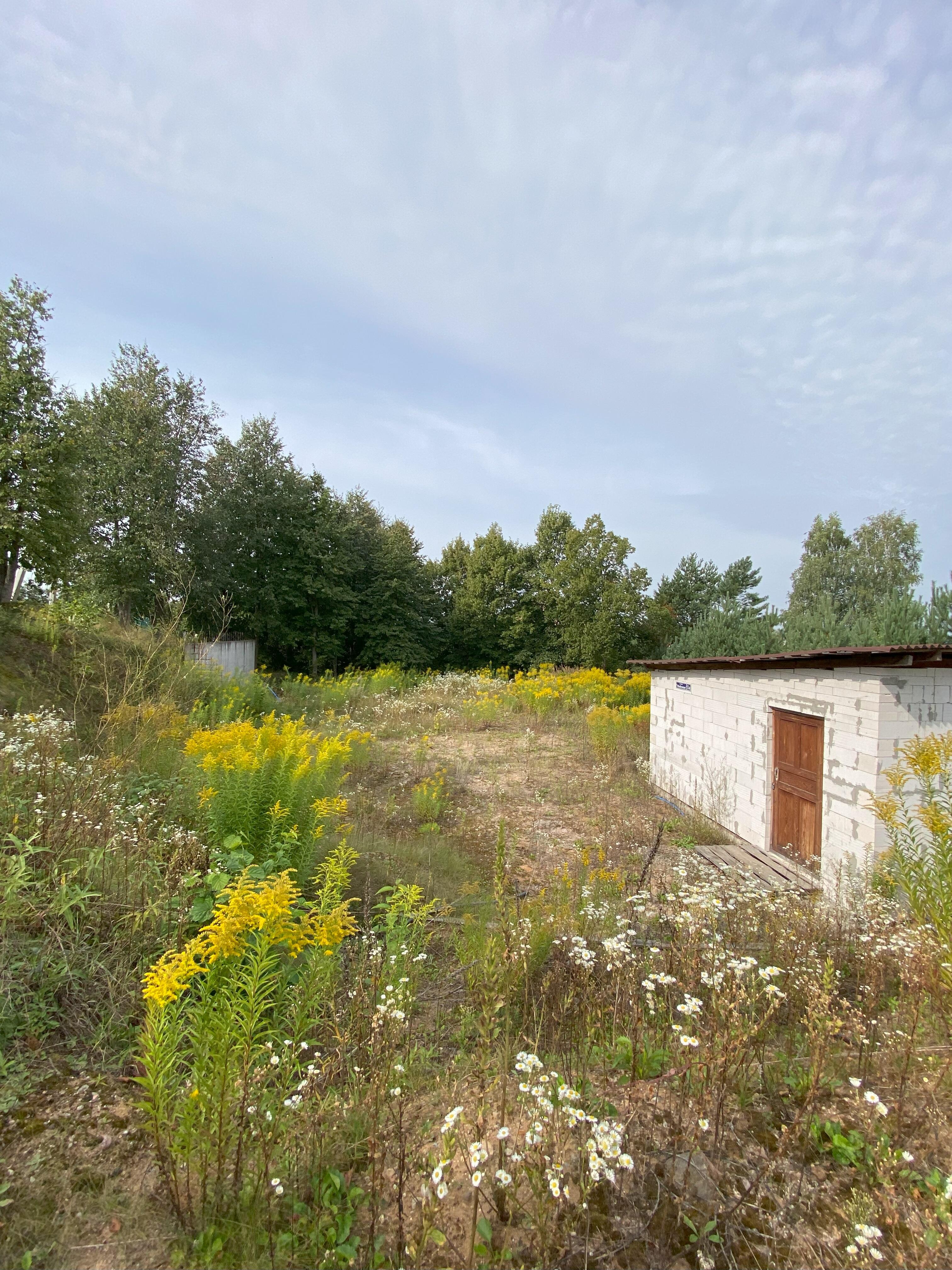 Участок по адресу аг. Ждановичи, Майская ул., д. 1, к. А