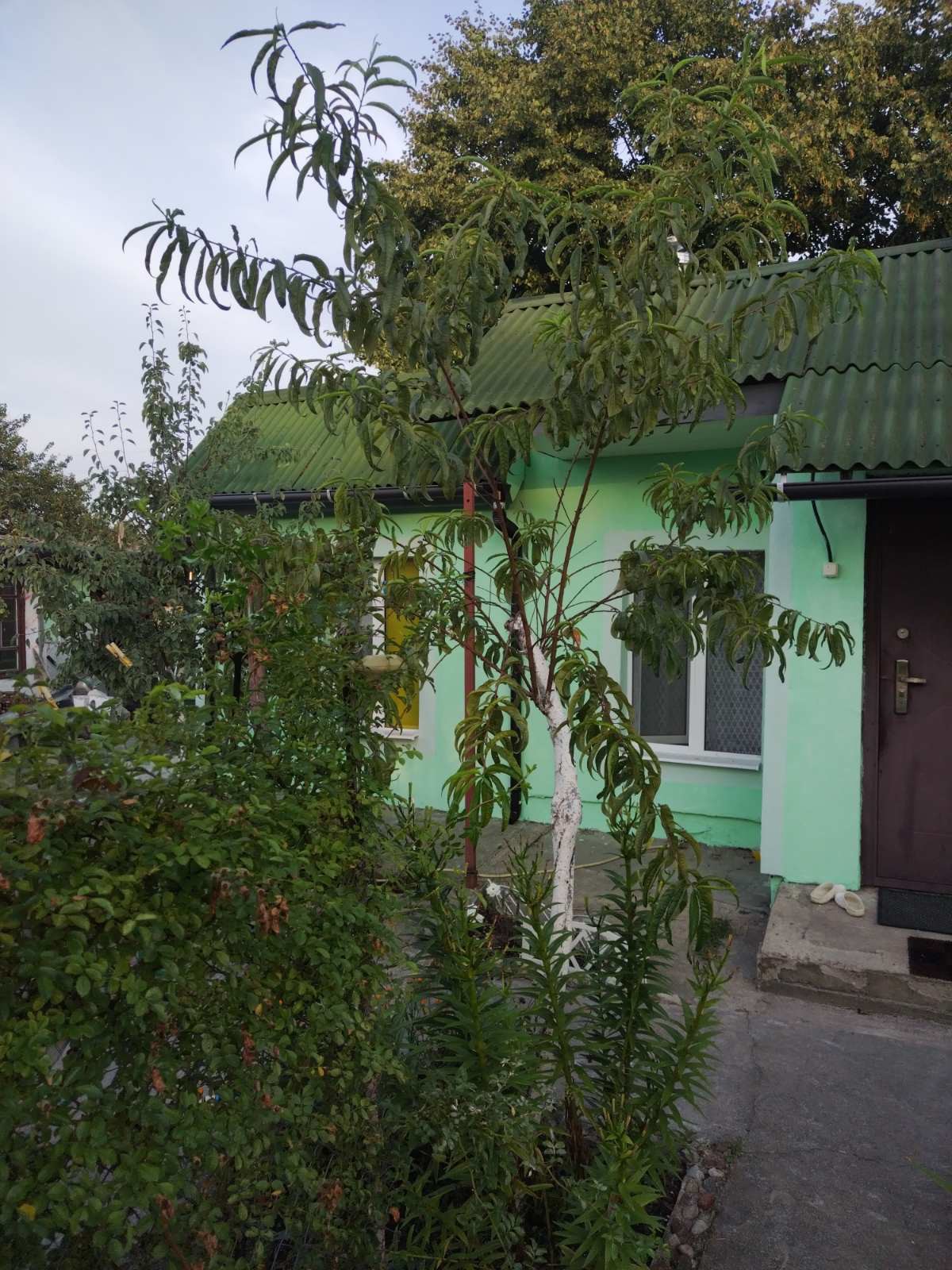 Дом по адресу Жилая дача и участок в пригороде Бреста 