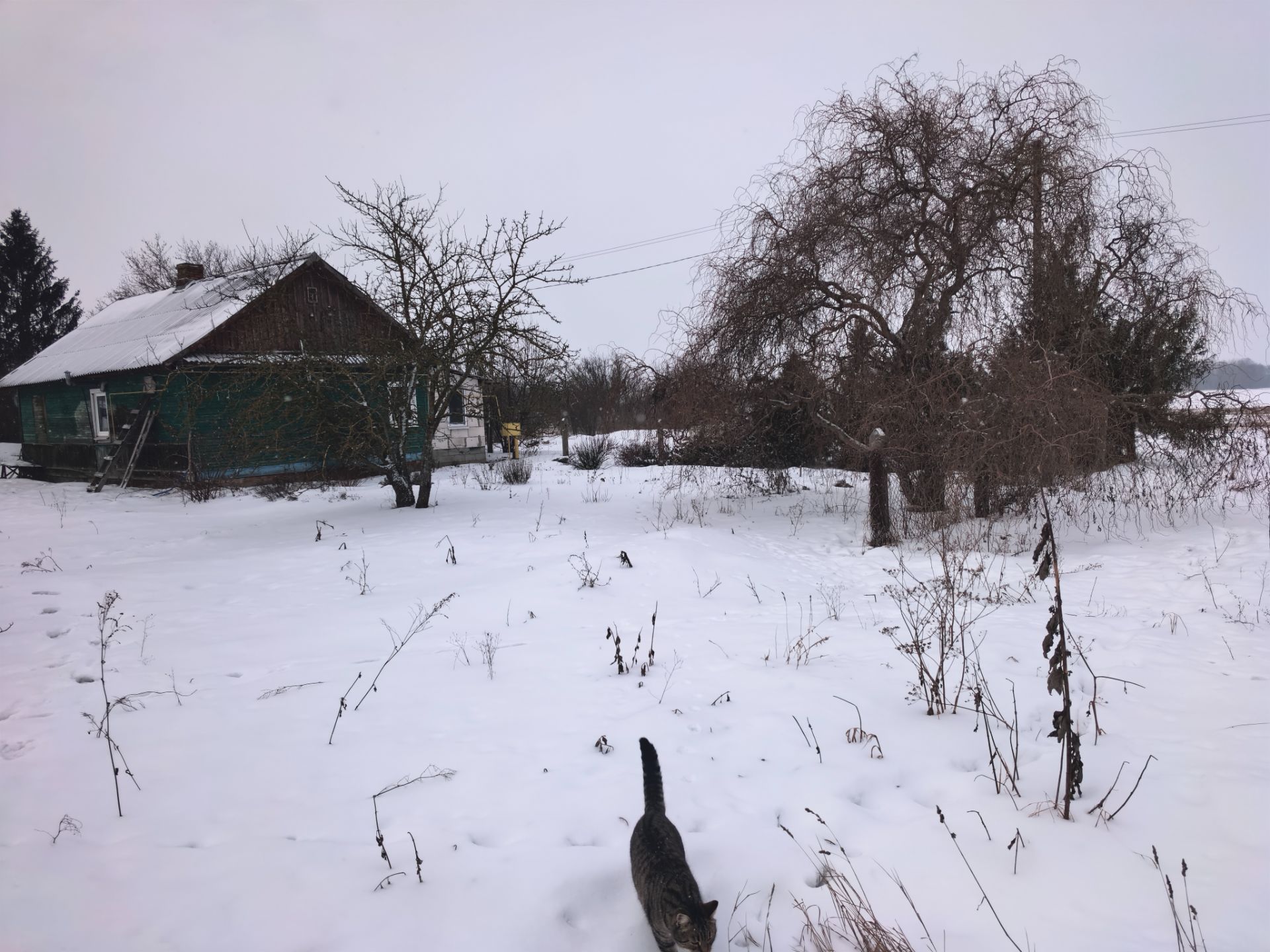 Дом по адресу Хуторской пер., 36Б, д. Чижевщина, Жабинковский район,...