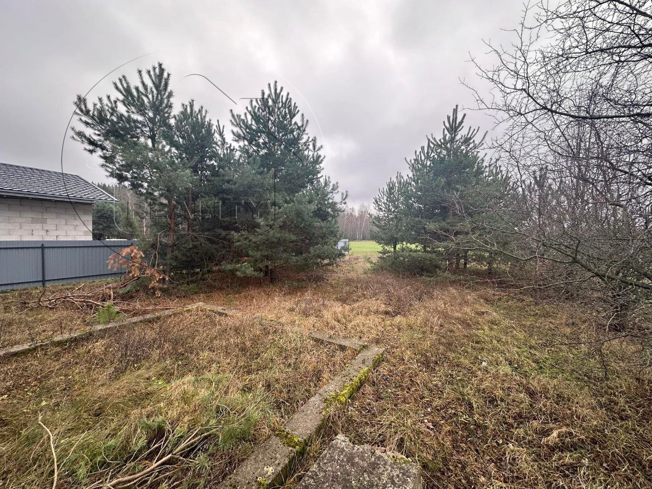 Участок по адресу 96, садоводческое товарищество Сирена-1989, Брестская область