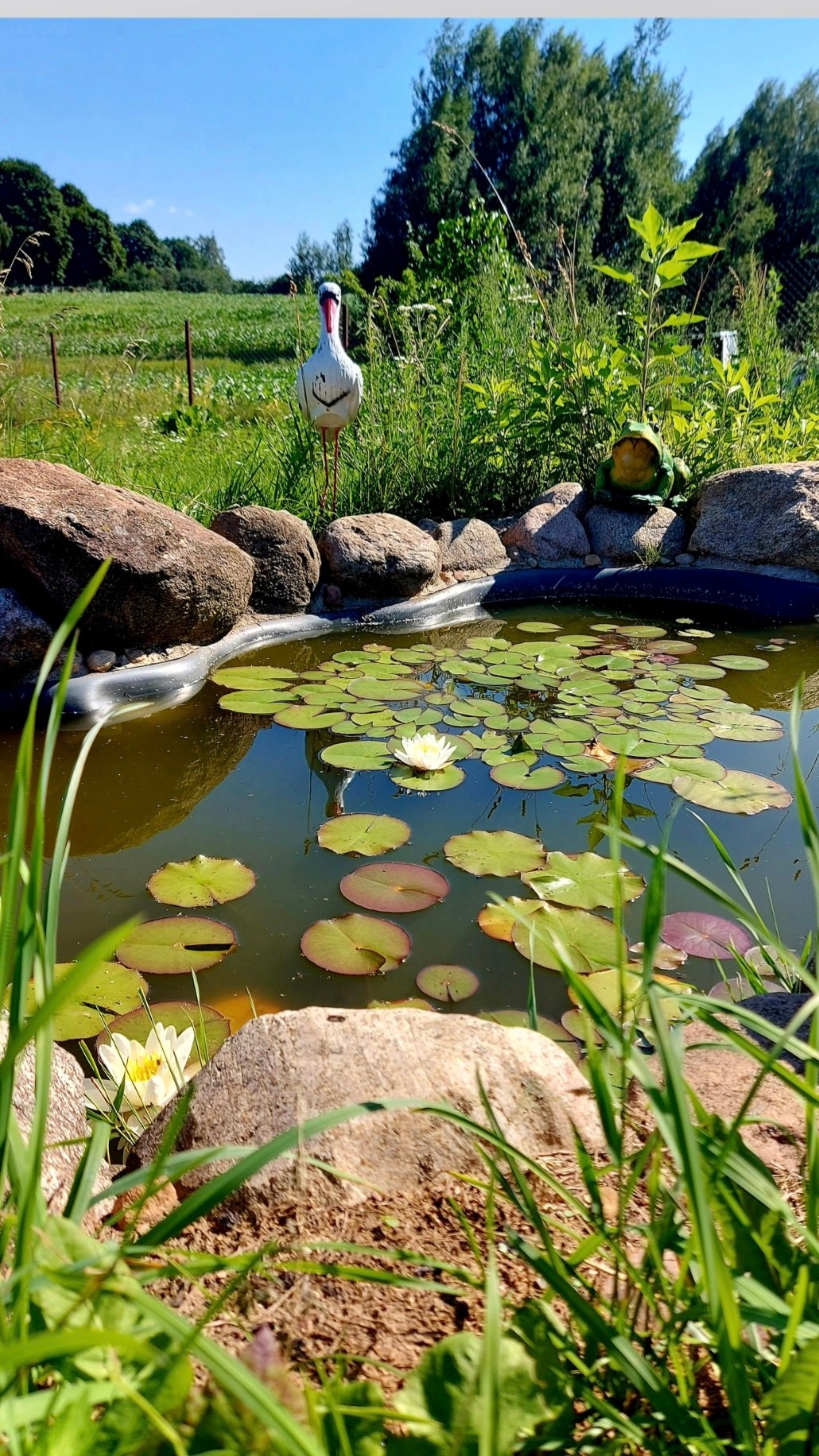 Дом по адресу Центральная ул., 1, д. Жилевщина, Дзержинский район, Минская...