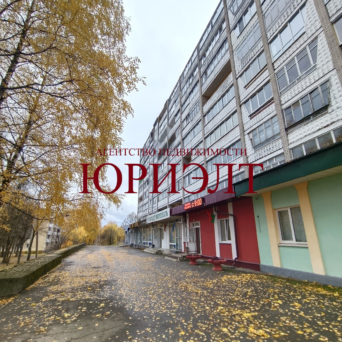 коммерческое помещение по адресу Фабричная ул., 22, Барановичи, Брестская...