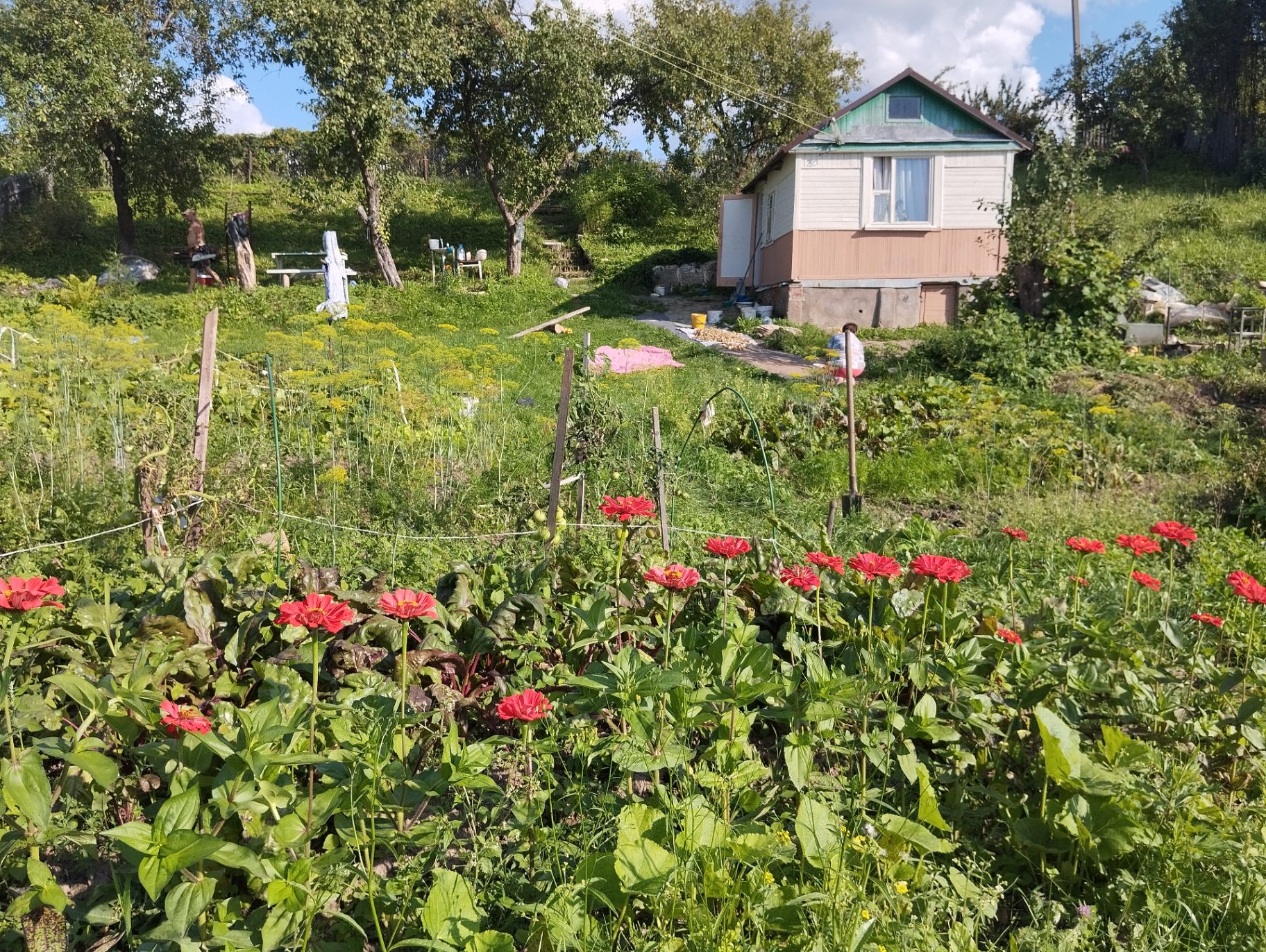 Дача по адресу 2-й Спокойный проезд, Витебск
