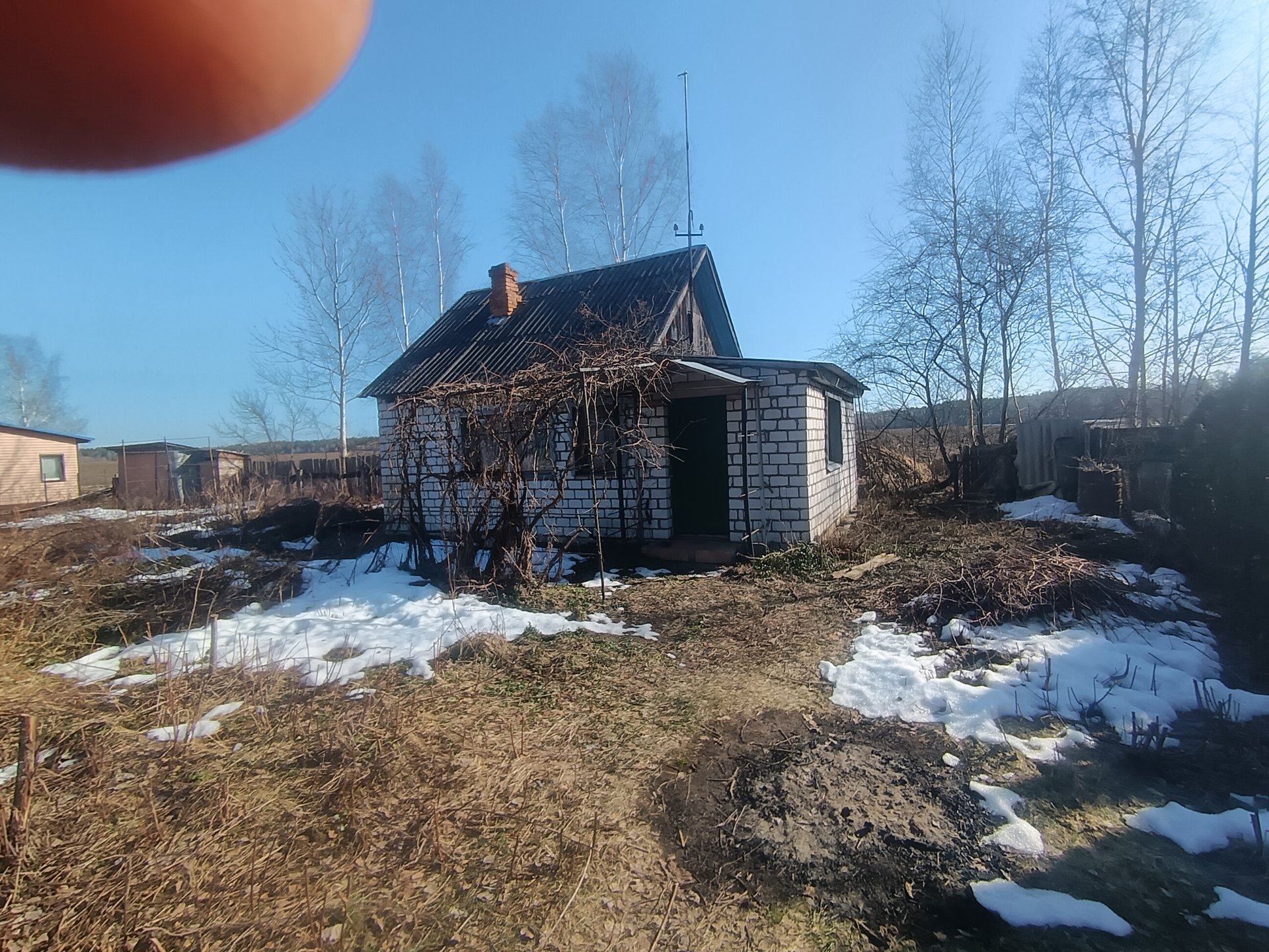 Дача по адресу садоводческое товарищество Дружба, 173, Осиповичский район,...