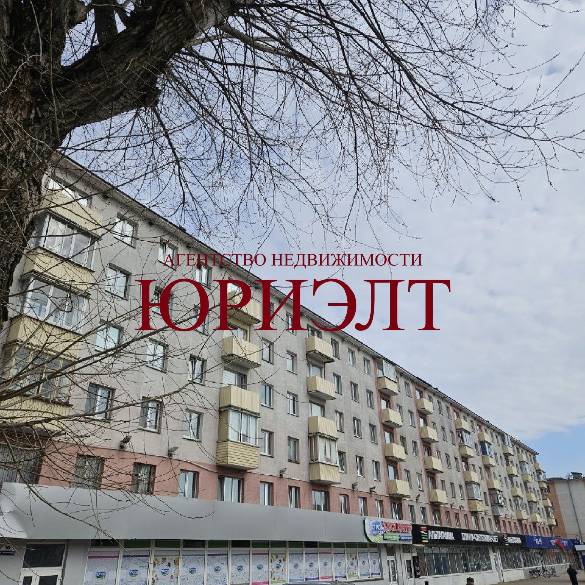 2-комнатная квартира по адресу Московский пр., 16, Витебск, Витебская область