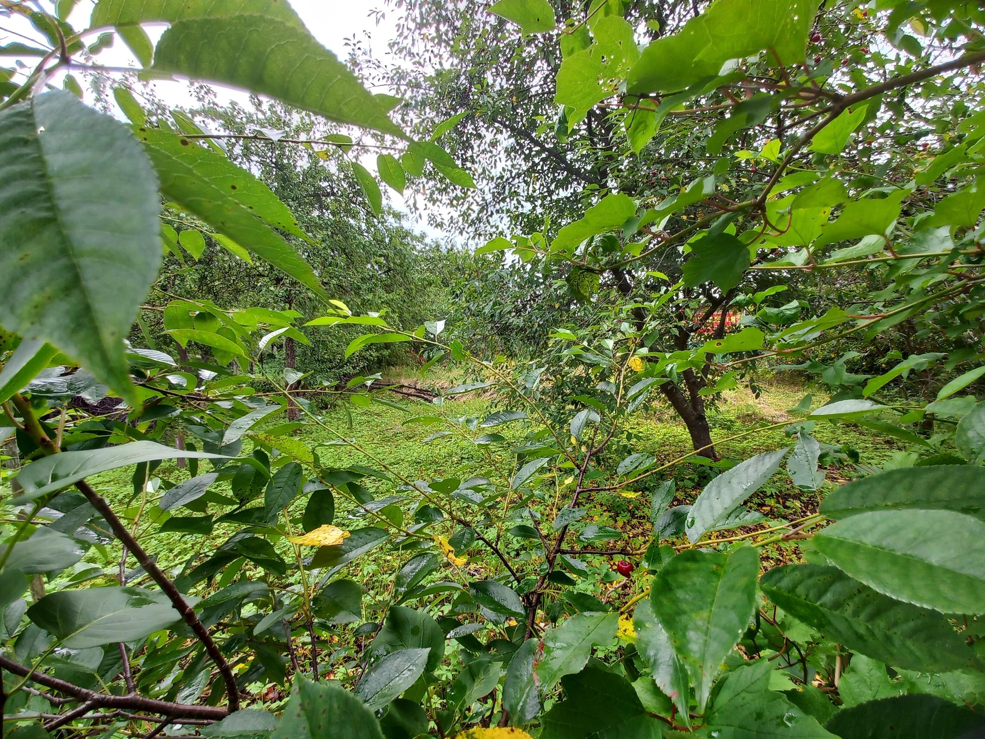 Участок по адресу с/т. Экран, д. 22