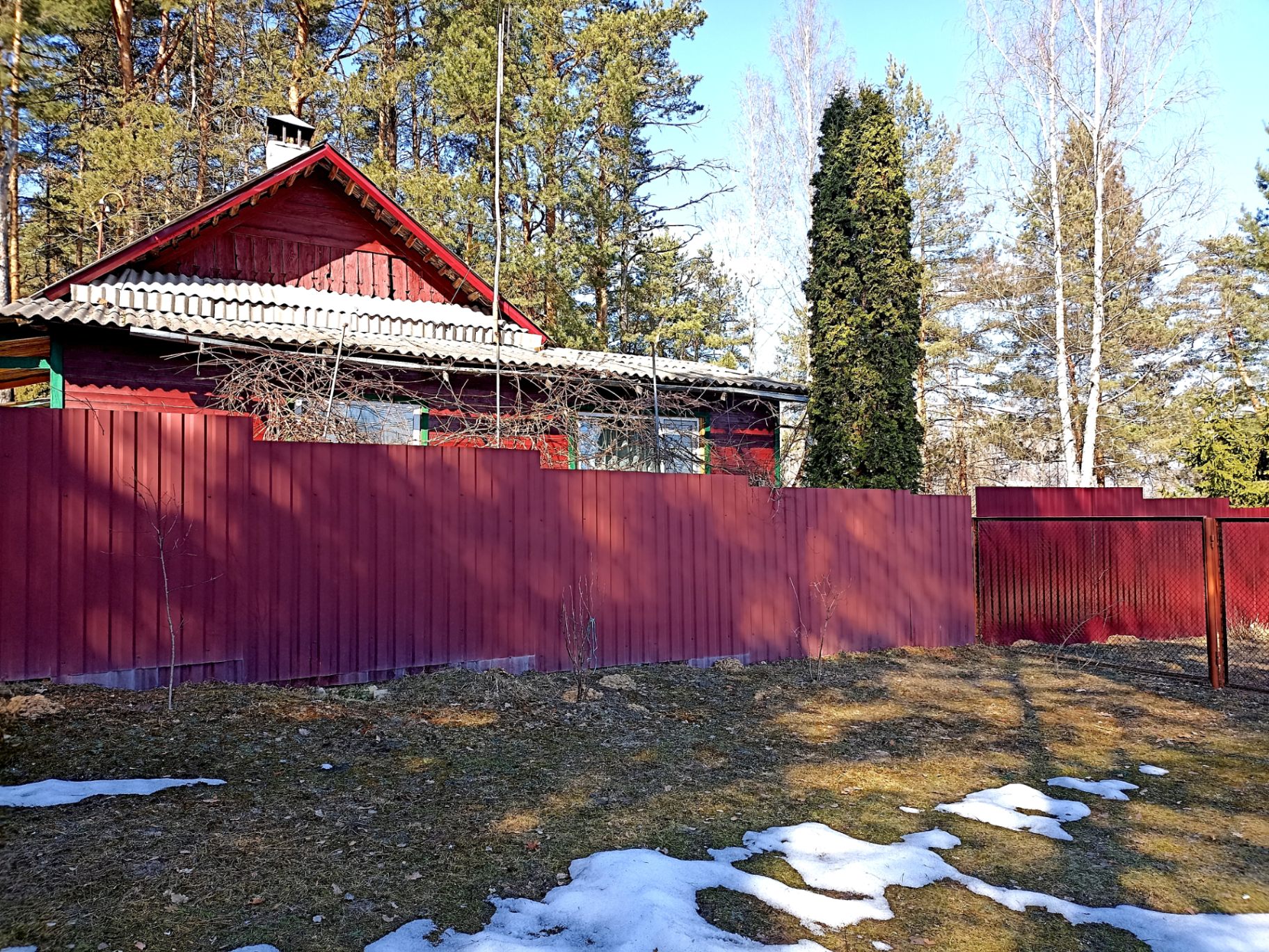 Дача по адресу д. Чечевичи, Быховский район, Могилёвская область