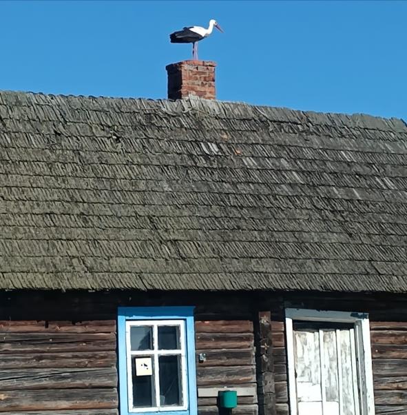 Дом по адресу д. Рожево, 1, Браславский район, Витебская область