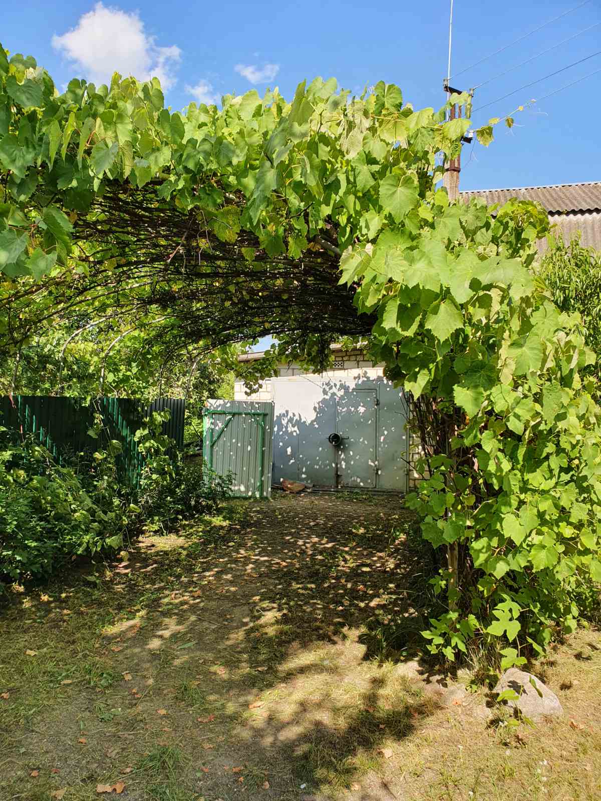 Дом па адрасу д. Еленец, Буда-Кошелёвский район, Гомельская область