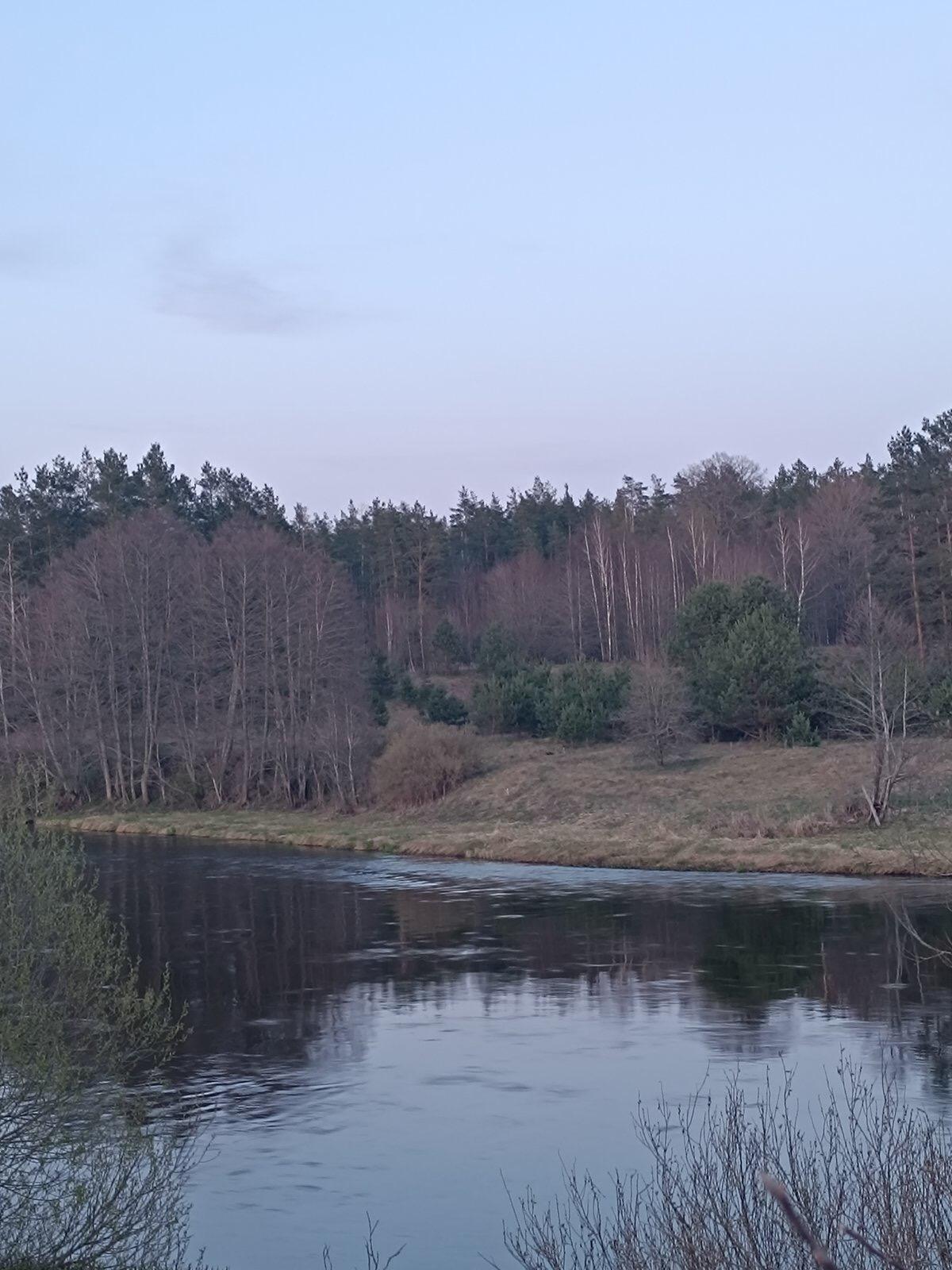 коммерческое помещение по адресу д. Быстрица, Школьная ул.
