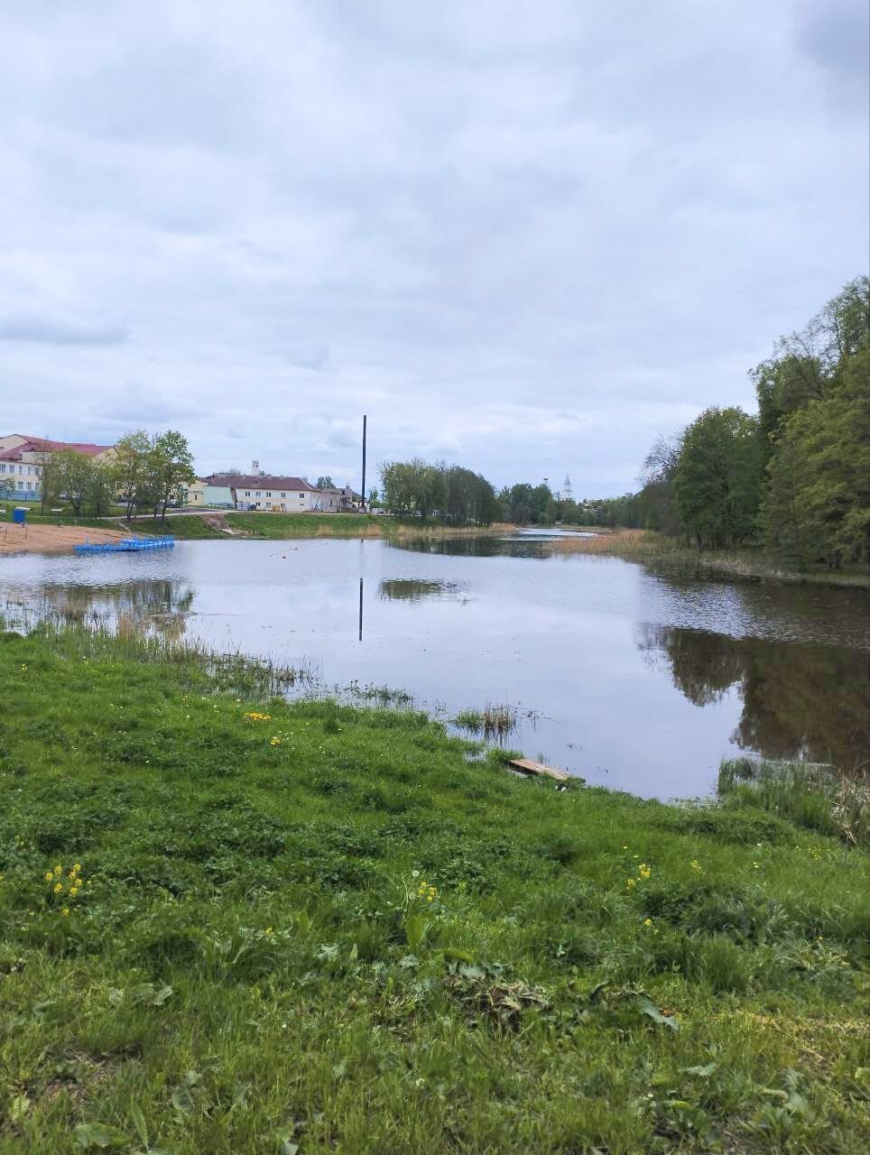 Дом по адресу д. Зеленый Луг, Центральная ул., д. 2