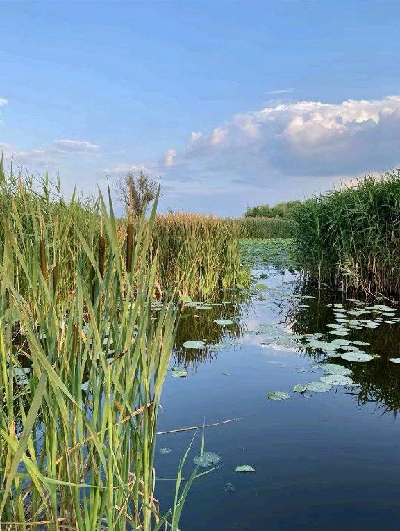 Дом по адресу Новая ул., 1, аг. Ахремовцы, Витебская область