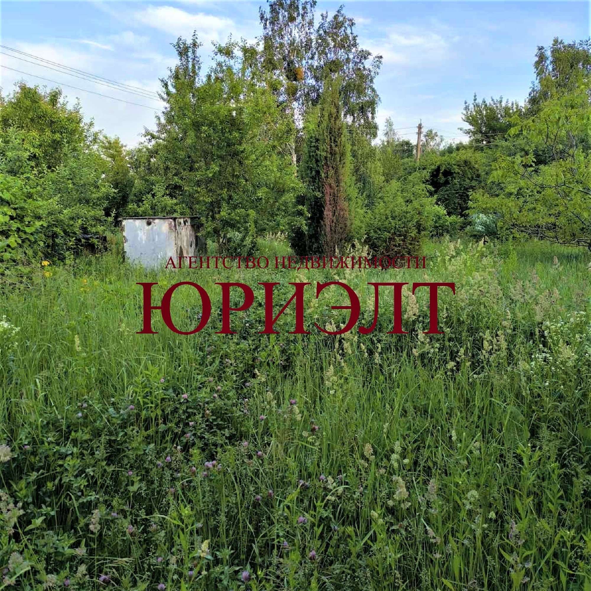 Участок по адресу садоводческое товарищество Споницкое, Гомельская область