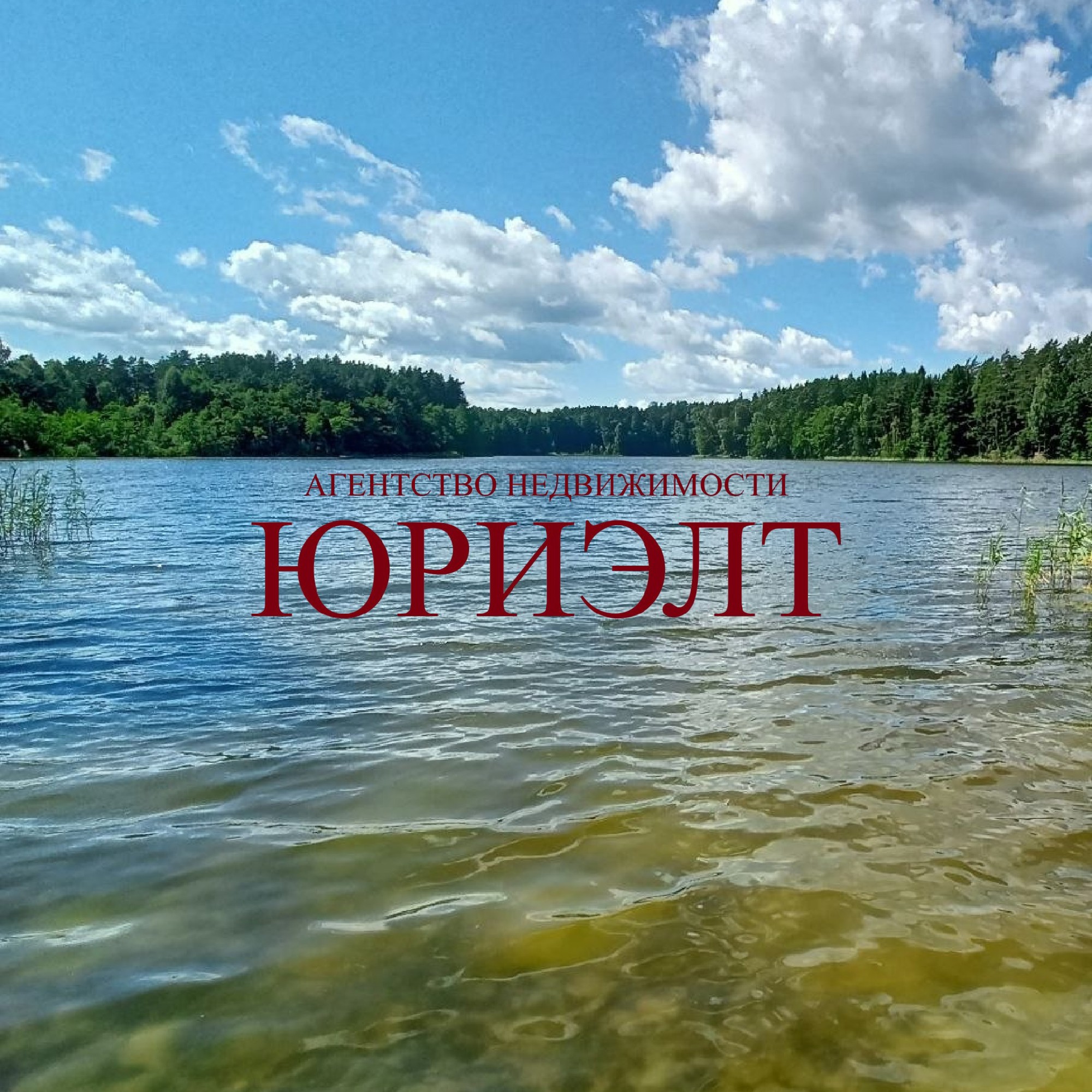 Участок по адресу Центральная ул., СТ Вишнёвый Сад, Витебская область