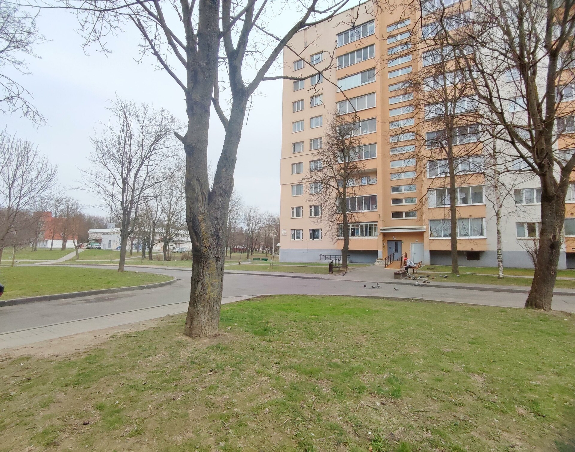 1-пакаёвая кватэра па адрасе г. Минск, Ландера ул., д. 38, к. А