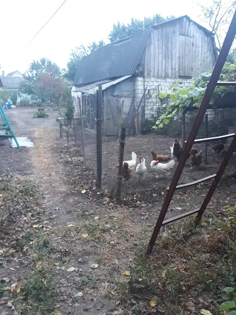  м² и участком соток