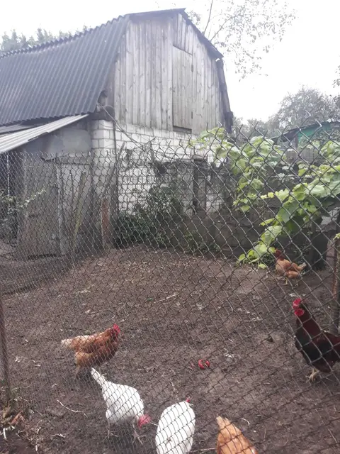  м² и участком соток