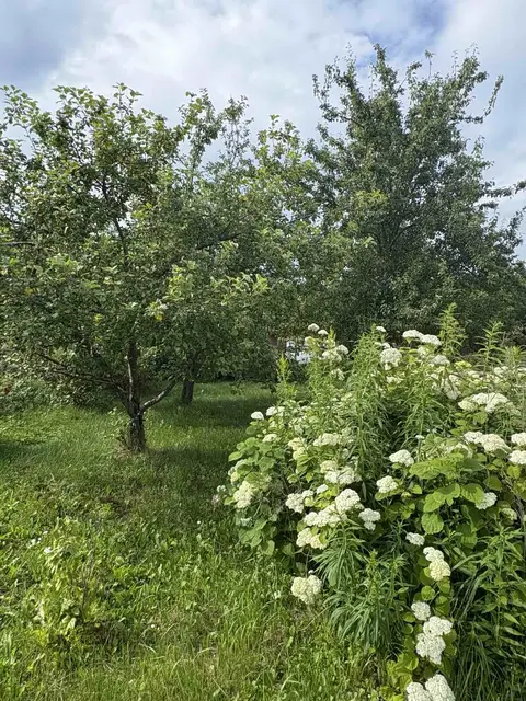  СТ Яблонька Пуховичский район