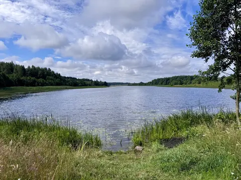  Расположение