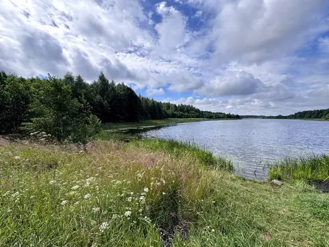  Расположение