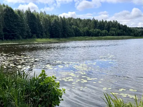  Расположение