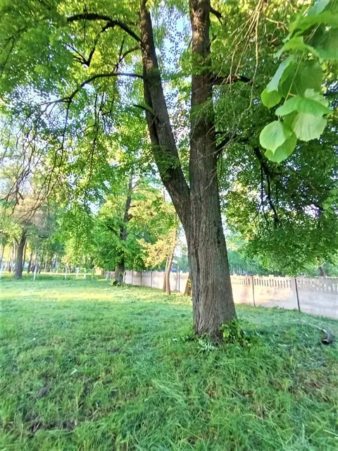  м² и участком соток
