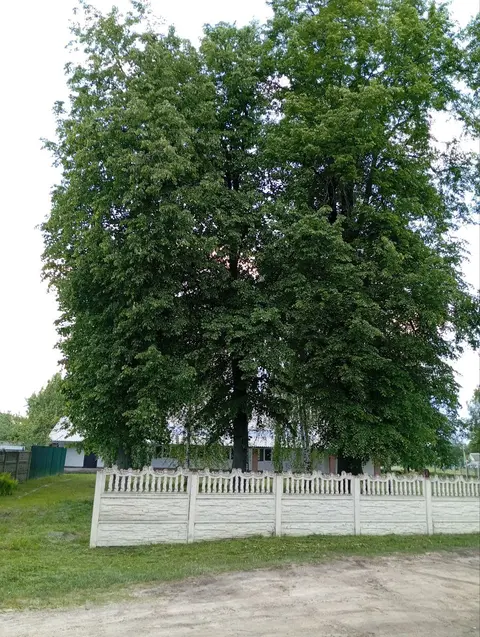  м² и участком соток