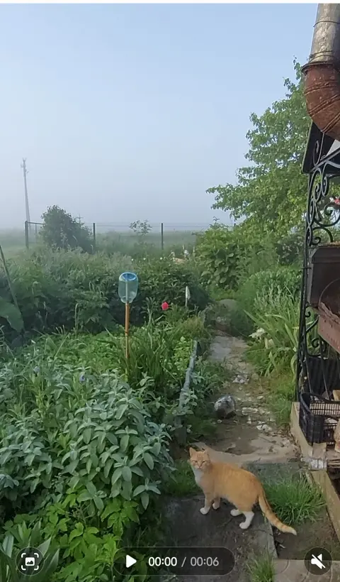  м² и участком соток