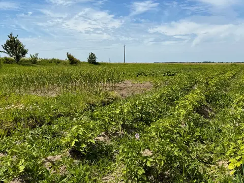  м² и участком соток