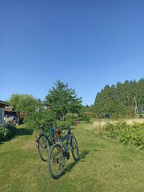  Расположение