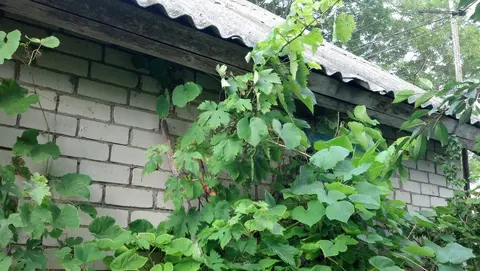  м² и участком соток