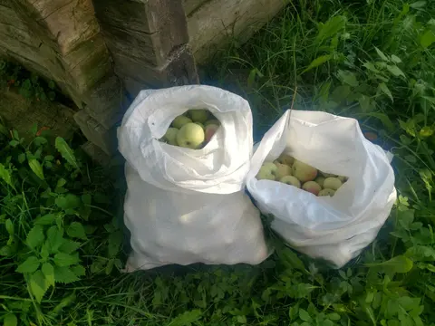  м² и участком соток
