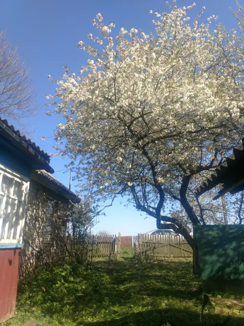 м² и участком соток