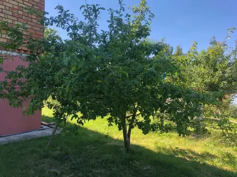  м² и участком соток
