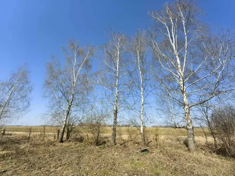  м² и участком соток