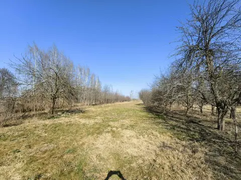  м² и участком соток