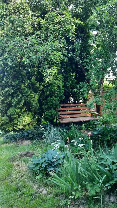  м² и участком соток